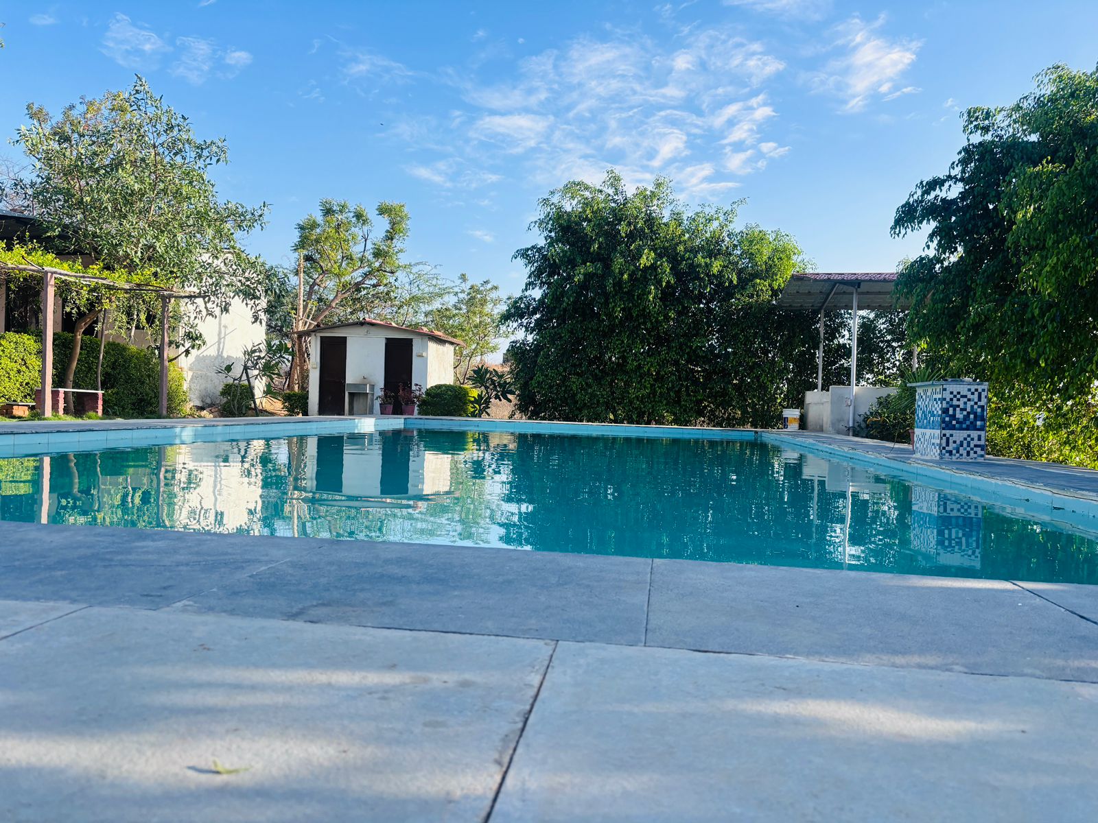 Private swimming pool surrounded by trees at Aravali Lake View Villa